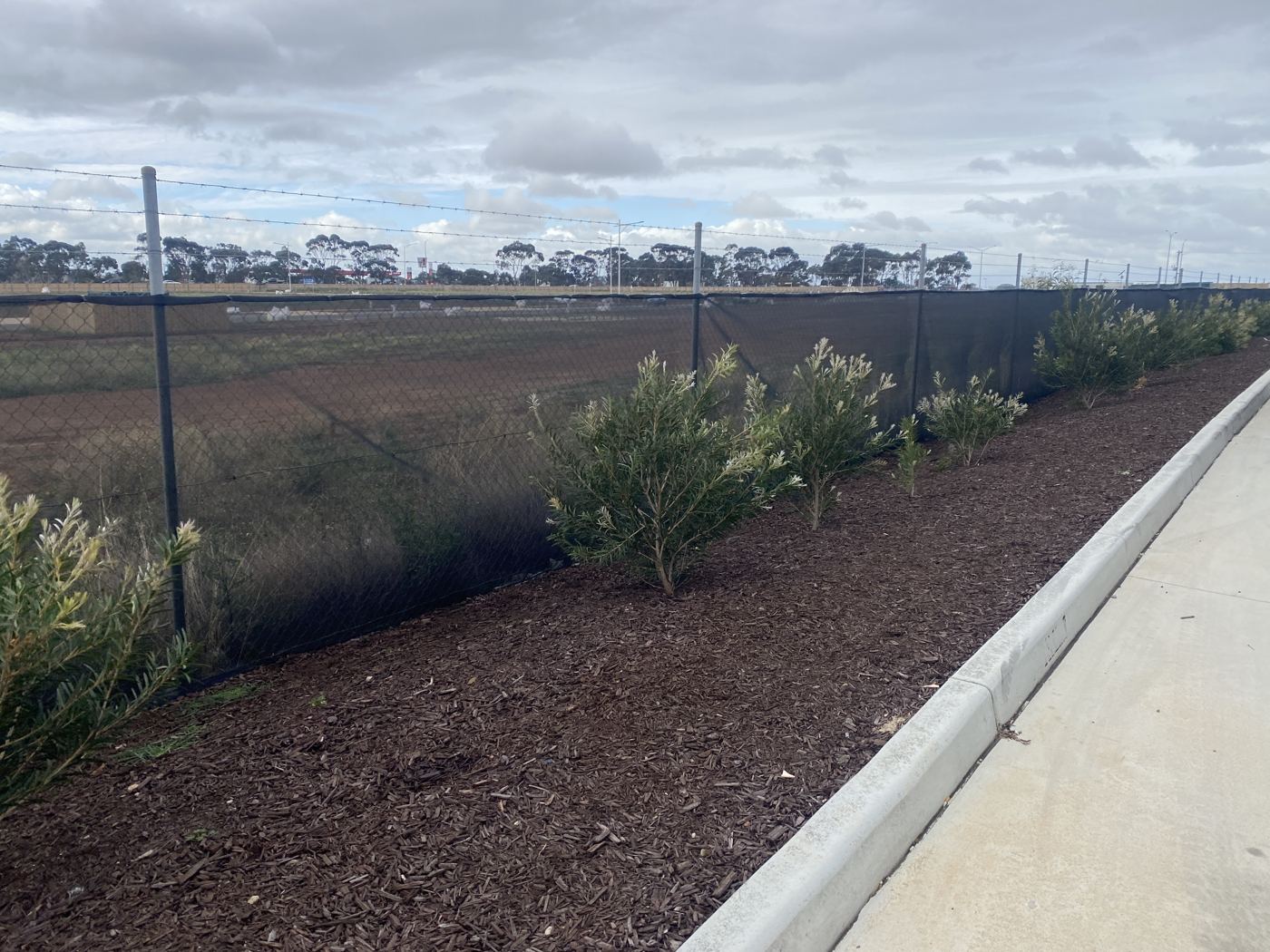 Shade cloth screening installed along a commercial boundary fence, with new plantings and mulch