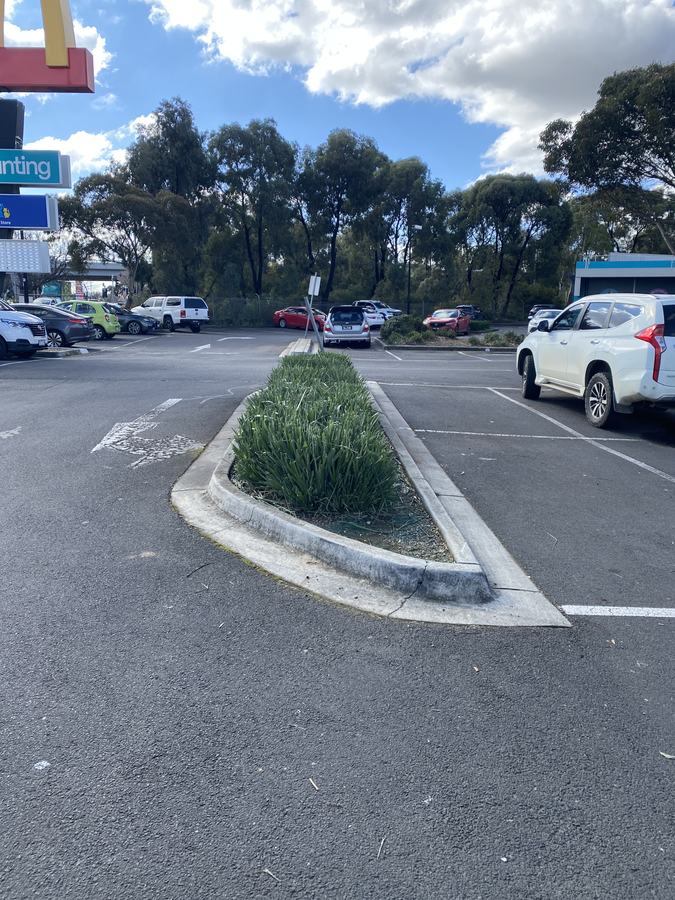 Retail car park gardens — Garden islands & medians | EcoScape Gardens